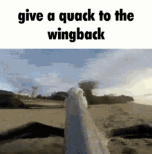 Give A Quack GIF - Give A Quack To GIFs
