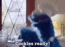 Cookie Monster Cookies Ready GIF - Cookie Monster Cookies Ready GIFs