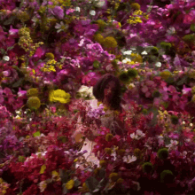 Picking Flowers Evie Irie GIF - Picking Flowers Evie Irie Worst Enemy Bts GIFs