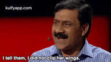 I Tell Them, I Did Not Clip Her Wings..Gif GIF - I Tell Them I Did Not Clip Her Wings. Ziauddin Yousafzai GIFs
