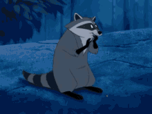 pocahontas raccoon