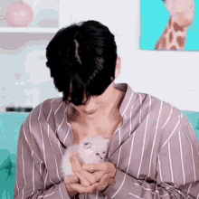 Kitten Cute GIF - Kitten Cute Yoo Taeyang GIFs