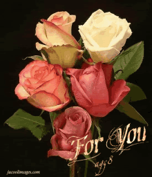Roses For You GIF - Roses For You Roses For You GIFs