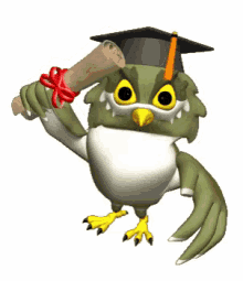 Owl Graduate GIF - Owl Graduate GIFs