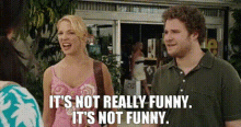 Knocked Up Alison Scott GIF - Knocked Up Alison Scott Its Not Really Funny GIFs