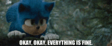 Sonic Okay Okay Everything Is Fine GIF - Sonic Okay Okay Everything Is Fine Sonic Movie GIFs