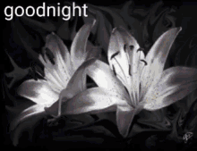 Reminds Me Of The 90s GIF - Goodnight Flowers Lily GIFs
