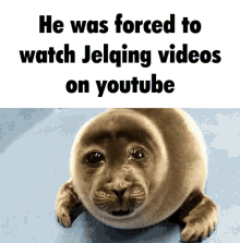 Jelqing Sad Seal GIF - Jelqing Sad Seal Seal GIFs