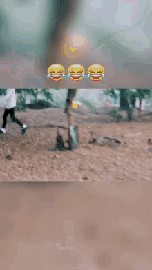 funny monkey