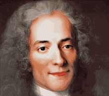 Voltaire Tom Slemen GIF - Voltaire Tom Slemen Philosophy GIFs