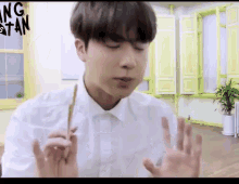 Jin Eats Seasoned Chicken GIF - Jin Eats Seasoned Chicken Chopsticks GIFs