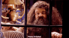 Harry Potter Rubeus Hagrid GIF - Harry Potter Rubeus Hagrid Happy Birthday GIFs