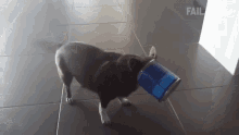 happy dog