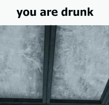 You Are Drunk Alyx GIF - You Are Drunk Drunk Alyx GIFs