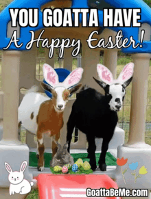 Happy Easter Easter GIF - Happy Easter Easter Animals GIFs