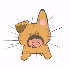 doggie nunu dog puppy animal doggie nunu dog puppy animal
