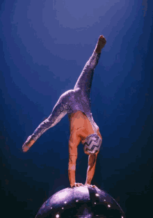 Acrobat Handstand GIF - Acrobat Handstand Yoga GIFs