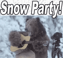 Snow Party Funny Animals GIF - Snow Party Funny Animals Bears GIFs