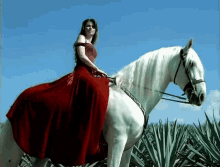 Riding A Horse Shania Twain GIF - Riding A Horse Shania Twain Dont GIFs