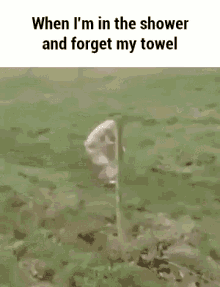 Towel Sneaking GIF - Towel Sneaking GIFs