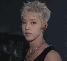 hoshi svt