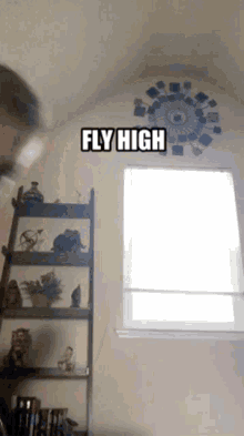 Fly High GIF - Fly High GIFs