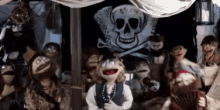 privateers reggienaus