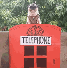 telephone there
