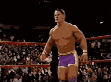 wwe prototype