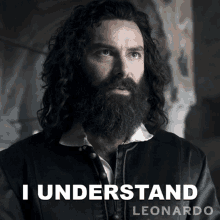 I Understand Leonardo Da Vinci GIF - I Understand Leonardo Da Vinci Aidan Turner GIFs