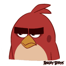 Angry Bird Duh GIF - Angry Bird Duh Whatever GIFs
