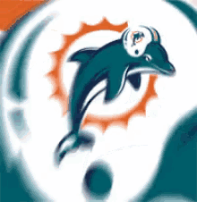 Dolphins Miami Dolphins GIF - Dolphins Miami Dolphins GIFs
