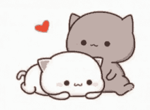 cute cuddling cartoon cat kitty