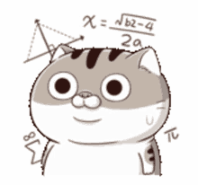 ami fat cat confused nervous equations