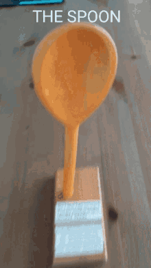 Spoon Orange GIF - Spoon Orange The GIFs
