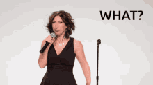 Whatever Whatever You Say GIF - Whatever Whatever You Say What The Heck GIFs