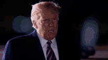 Trump Donald Trump GIF - Trump Donald Trump Hands Up GIFs