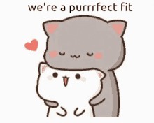 were a purrrfect fit love couple cat heart