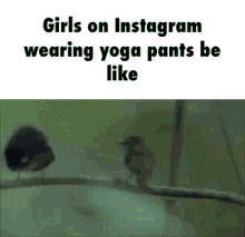 instagram yogapants girls on instagram
