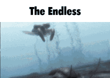 The Endless Anomalocaris GIF - The Endless Anomalocaris Halo Infinite GIFs