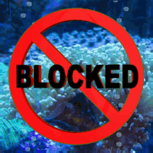 You Are Blocked You Are Banned GIF - You Are Blocked You Are Banned Not Allowed GIFs