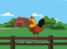 family guy rooster