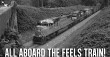 All Aboard The Feels Train GIF - Train Feels Emotions GIFs