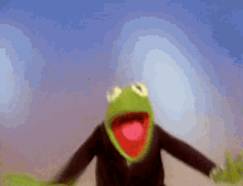 Kermit Smiling GIF - Kermit Smiling Excited GIFs