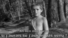 French GIF - French GIFs