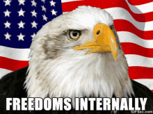 Freedoms Internally Eagle GIF - Freedoms Internally Freedom Freedoms GIFs
