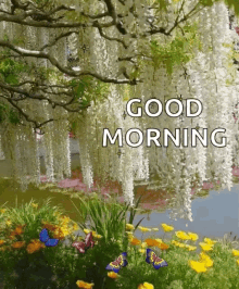 Good Morning Forest GIF - Good Morning Morning Forest GIFs