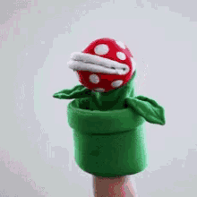 plant puppet