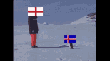 Iceland GIF - Iceland GIFs