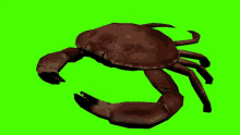 Crab Krab GIF - Crab Krab Mr Krabs GIFs